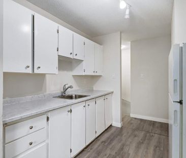 Renovated Suite - 2 Bedroom - Photo 3
