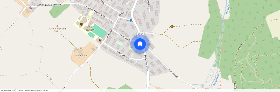 3098, Schliern b. Köniz, Froschweg, 32