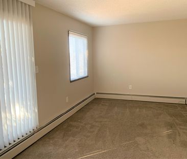 Modern 1 Bed Apartment – Pet Friendly & Steps from RDP! - Photo 3