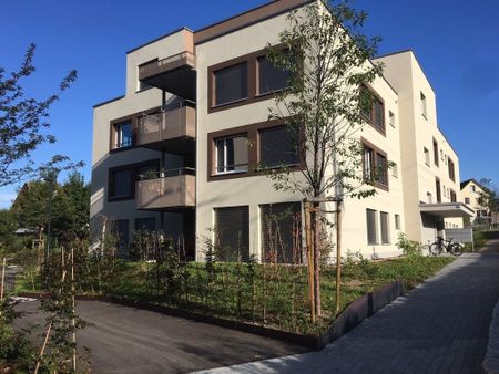 Living between Zurich and Zug - Photo 4
