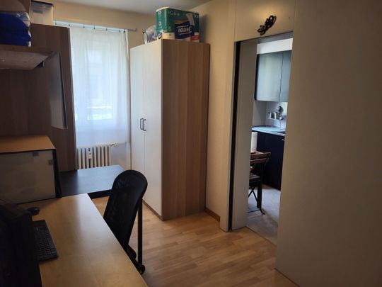 21/2-ROOM APARTMENT IN BERN - FELSENAU, FURNISHED, TEMPORARY - Photo 1