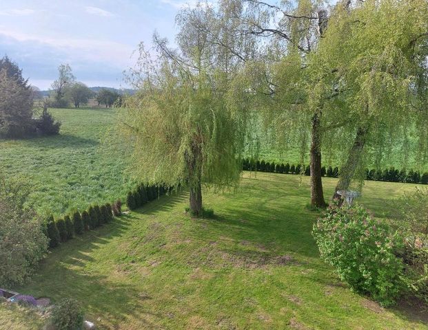 2 Zimmer Wohnung - Foto 1