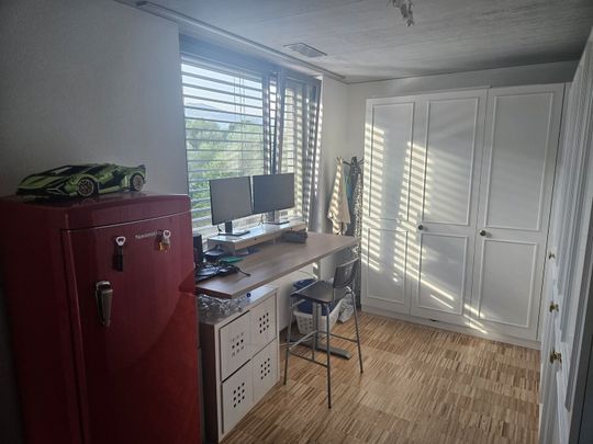 31/2-ROOM APARTMENT IN ZUCHWIL (DIM), FURNISHED, TEMPORARY - Photo 1