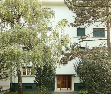 1-Zimmerwohnung im ruhigen Iselin-Quartier - Foto 3