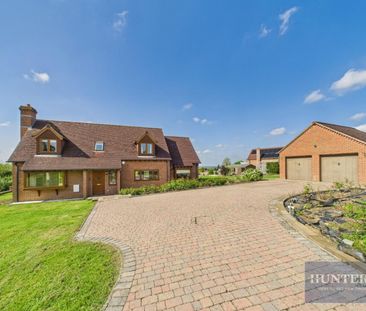 5 bedroom House To Let - Photo 5