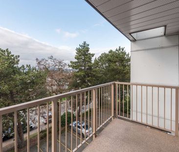 Lord Harley - Junior 1 Bedroom - Photo 2