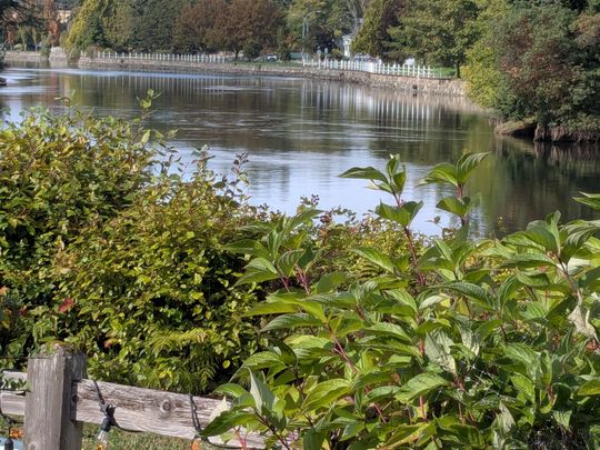 Glen Vale 11 - 11 - Photo 1