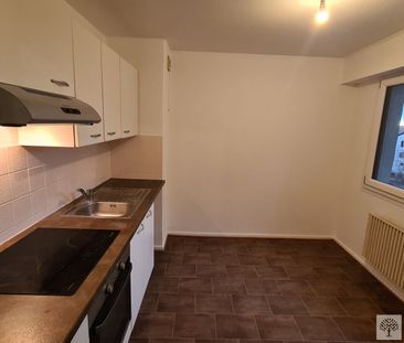 Appartement T3 Benfeld à louer - Photo 4