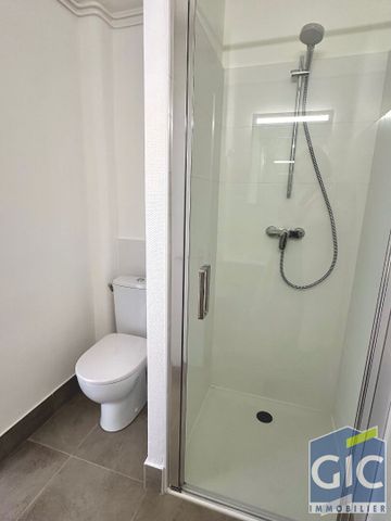 Location Appartement 1 pièce 43m² - Photo 2