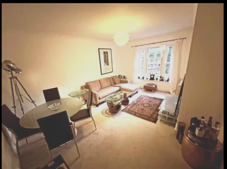 Big-furnished standard one bedroom apartment available - Photo 5