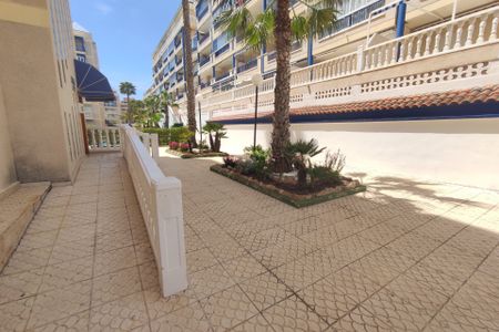 Arenales Del Sol - Photo 2