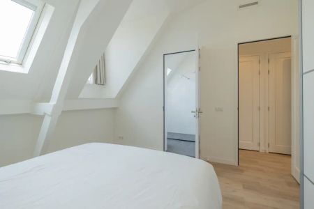 Pieter Cornelisz. Hooftstraat 43 B - Photo 5
