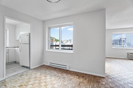 Appartement à louer, Montréal (Ville-Marie) - Photo 2