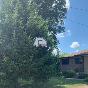 For Lease - 1393 Selkirk Avenue Unit# Lower 1, Oakville, Ontario - Photo 3