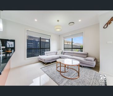 67 Higgins Avenue, Elderslie, NSW 2570 - Photo 4