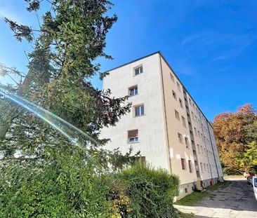 Appartement 3 pièces à Illange - Photo 6