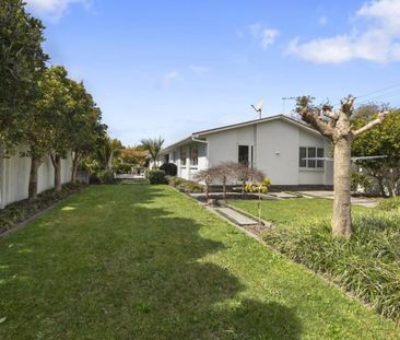 14D Chilman Street SHORT TERM, Strandon, New Plymouth - Photo 5