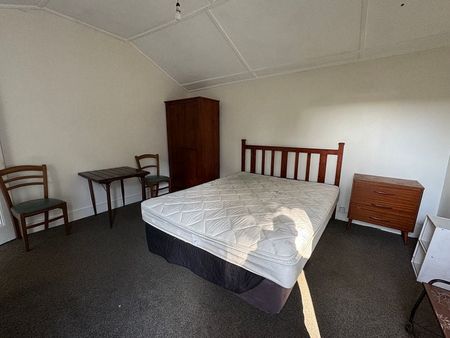 Large bedroom with kitchen in Mt Vic - Photo 2