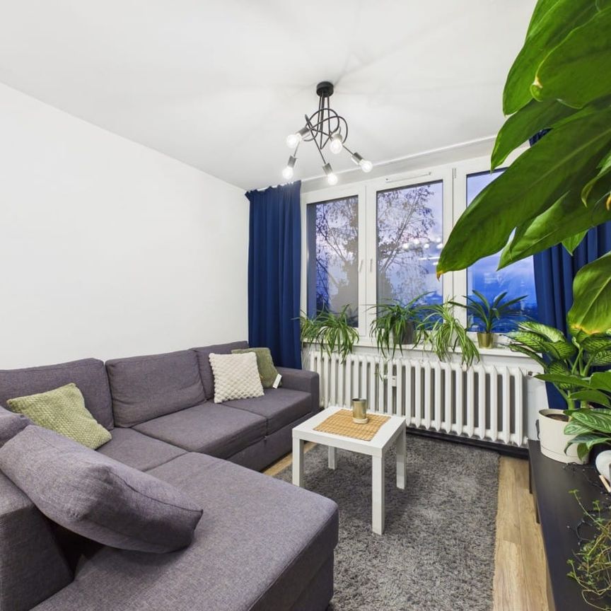 Przytulne dwupokojowe mieszkanie na Koszutce 40.77 m² - Zdjęcie 1