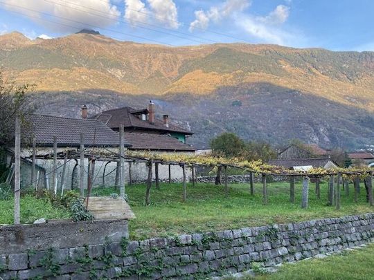 Cooperative new-build housing estate with 1½ - 3½ room apartments - Photo 1