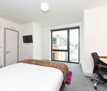 Studio Gold - Photo 6