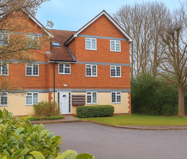 Eagle Drive - Photo 5