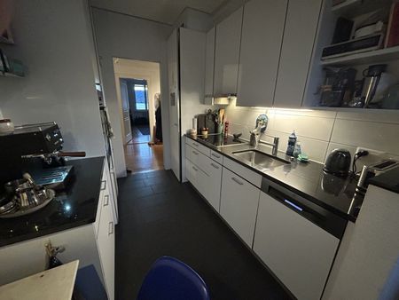 4.5-ROOM APARTMENT IN ZURICH – KREIS 8 RIESBACH, FURNISHED, TEMPORARY - Photo 3