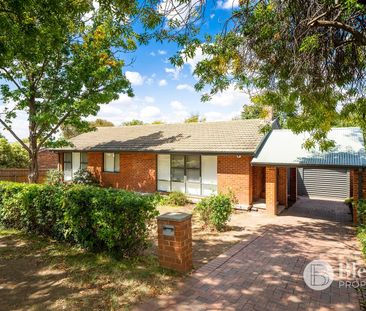 19 Scott Street, Narrabundah ACT 2604 - House For Rent | Domain - Photo 2