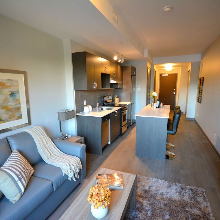 169 Lisgar Street, Centretown, Ottawa, ON - Photo 1