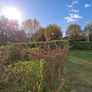 Location Appartement à ROUSSILLON - Photo 5