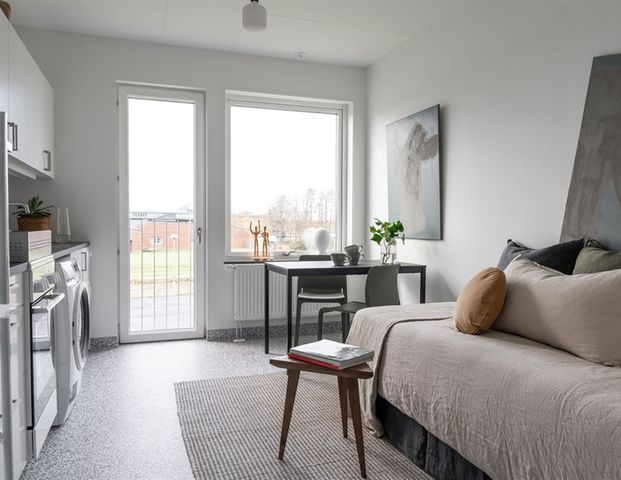 Blå vägen 245 - Foto 1