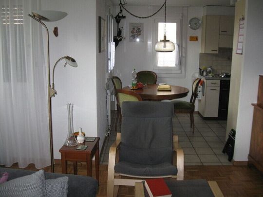 2-ROOM APARTMENT IN RIEHEN (BS), FURNISHED, TEMPORARY - Foto 1