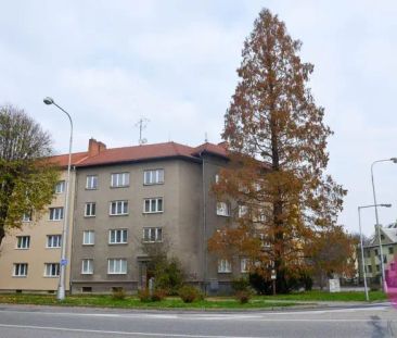 Pronájem prostorného cihlového bytu o dispozici 1+1 v Olomouci - Фото 4