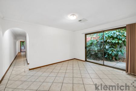 53 Brooker Terrace, Richmond SA 5033 - House For Rent | Domain - Photo 2