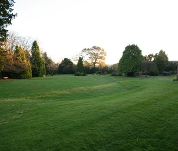 2 bedroom maisonette to rent - Photo 4