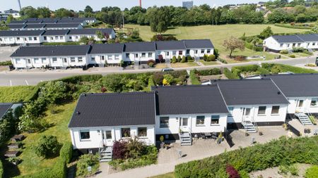 Provstejorden, Præstemarken, Klokkervangen og Degnelodden - Foto 2