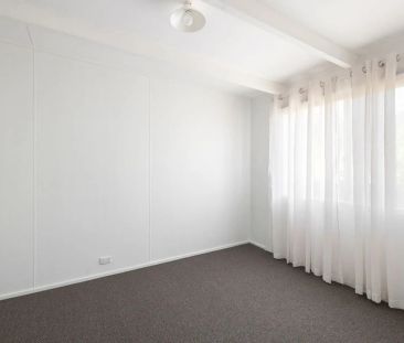 Light-Filled Elevated Home with Leafy Outlook - Photo 3