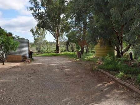 COUNTRY LIVING - Photo 4