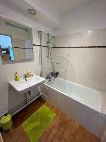 Location Appartement 1 pièce 25m² NANCY 54000 - Photo 5