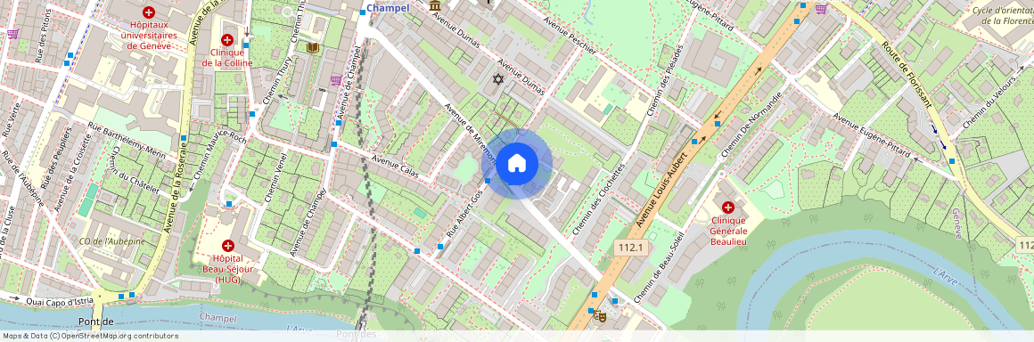 Avenue de Miremont 27 A, 1206 GENEVE
