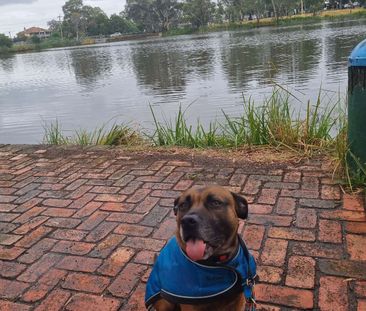 Thomastown - Photo 2