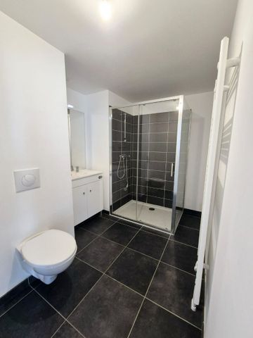 Appartement T2 Lille à louer - Photo 4