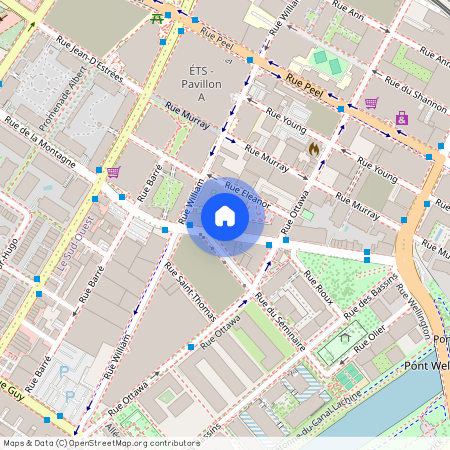 305 Rue de la Montagne, Montréal, QC