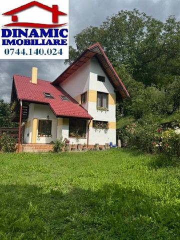 Casă, Bistrița, 1000 mp teren. Preț 590 eur/ lună - Fotografie 5