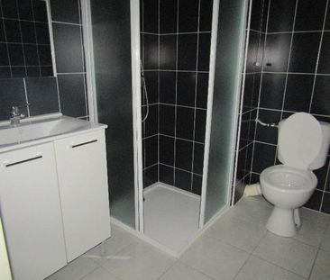 Location Appartement 1 pièce 29m² ALBI 81000 - Photo 3