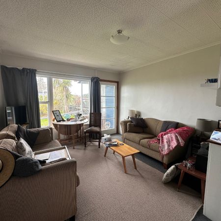 Domain Road, Haumoana - Photo 3