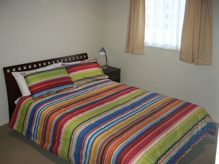 Large and Spacious - Photo 5