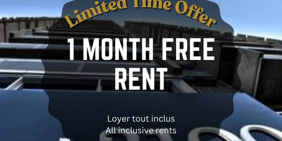 1 Bedroom - 2100 Boulevard De Maisonneuve West, Montréal - Photo 3