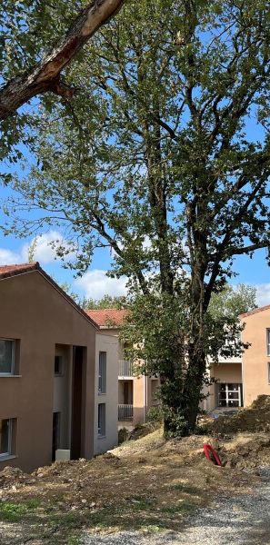 Location Appartement 1 pièce 41m² EAUNES 31600 - Photo 1