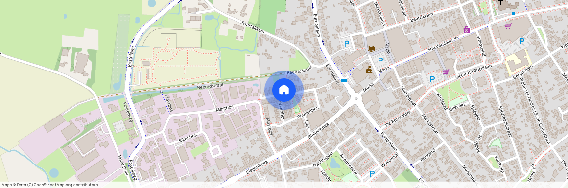 Bladel Zuid, 5531 MR, Beukenbos, Bladel